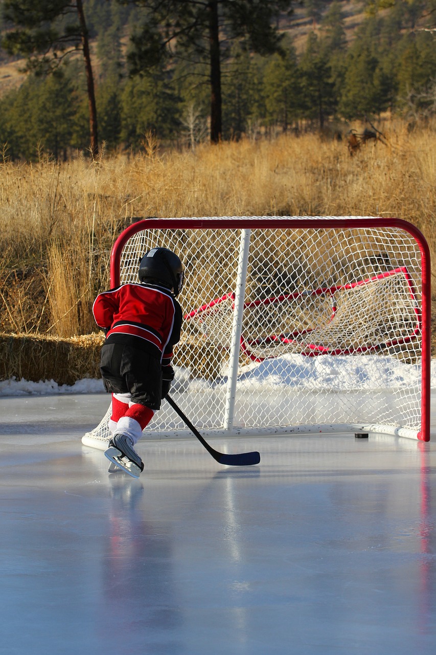 hockey, outdoor rink, nature