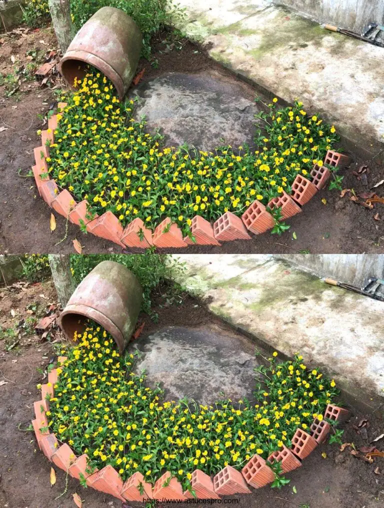 Erstellen Sie Ihren kleinen Blumenstrom im Garten