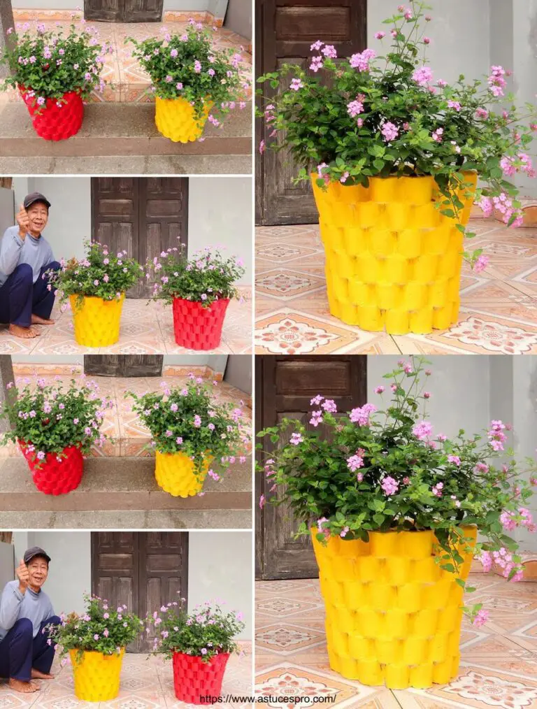 Tolle Ideen: Einfach Cement Flower Pots für einen kleinen Garten erstellen