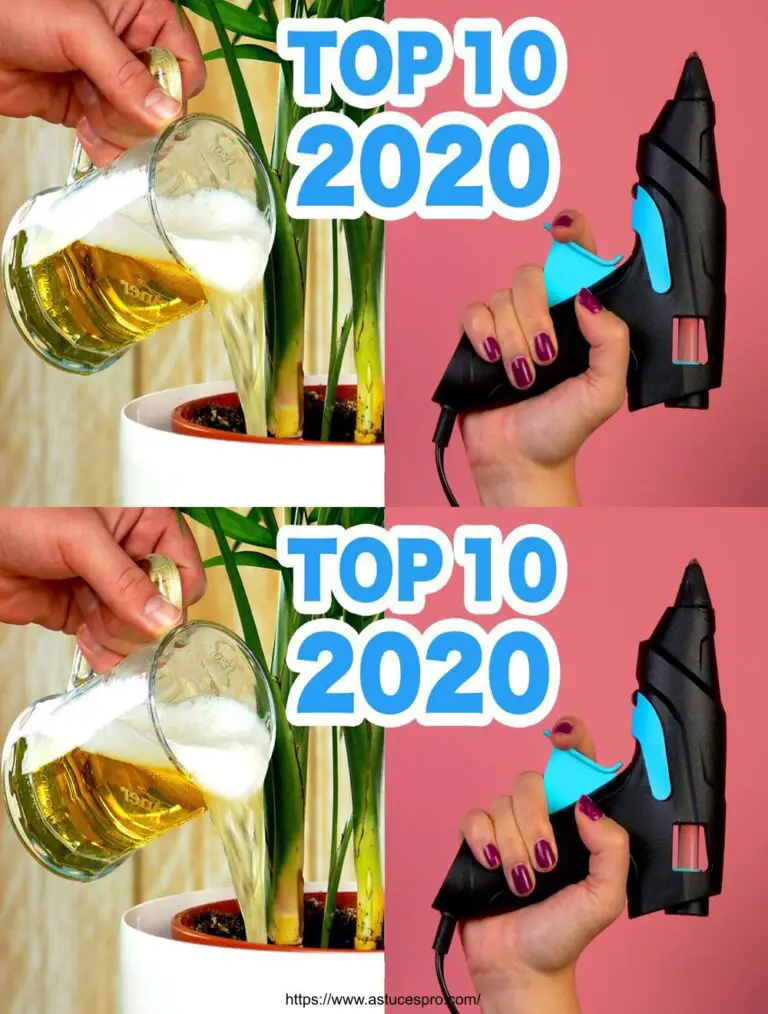 Die schlausten Geheimnisse von 2020!