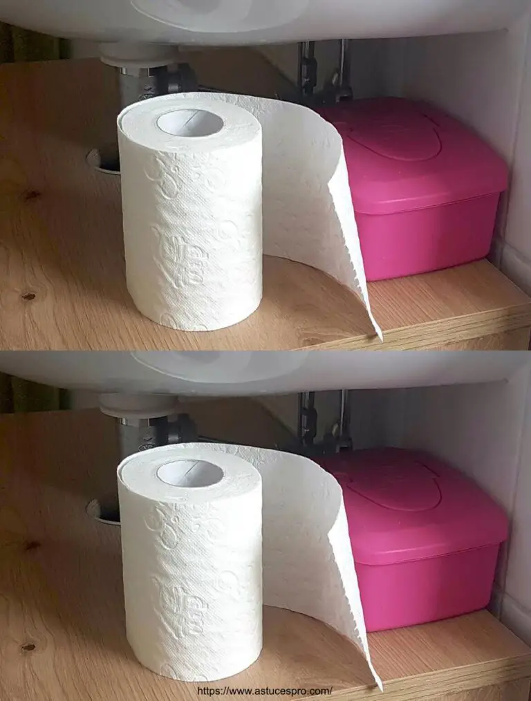 6 Tipps, um Ihr Toilettenpapier unwiderstehlich zu machen!