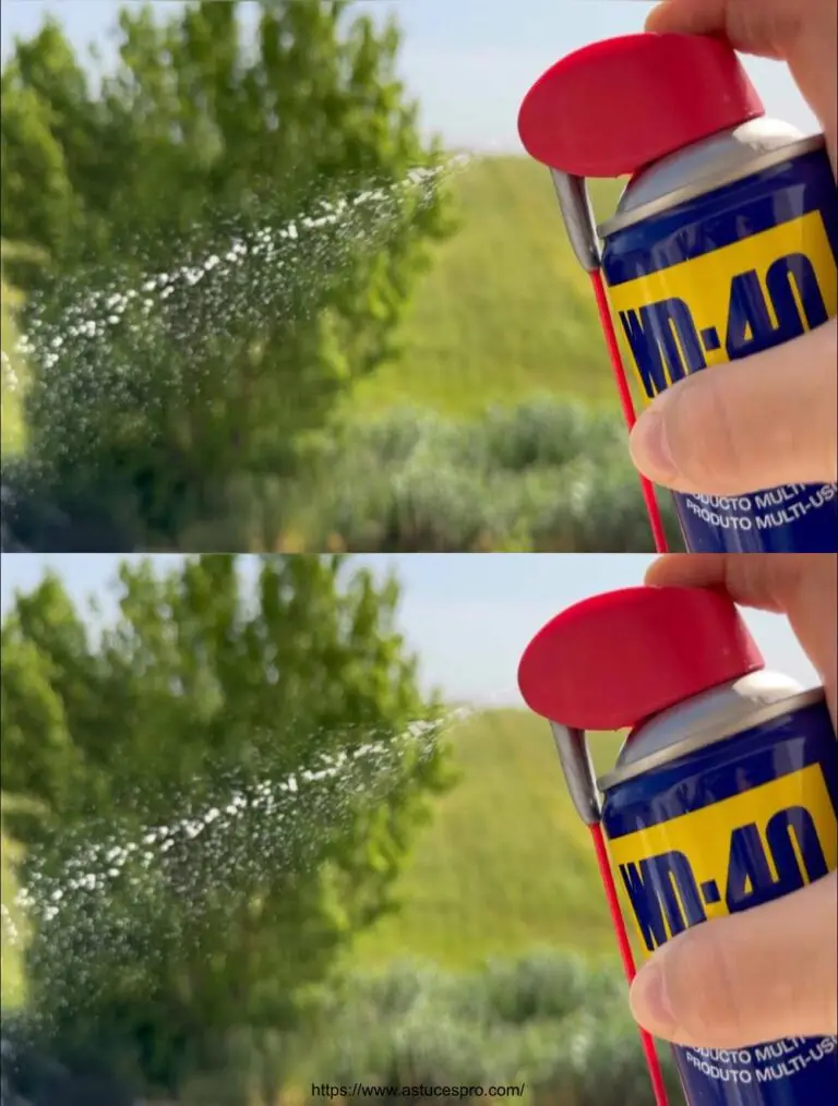 17 Große Tipps zu wissen mit der WD-40 dass die Welt wissen sollte