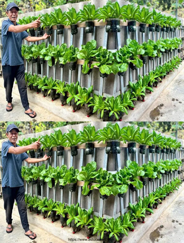 Vegetal Wand unglaublich schön, aus recycelten Kunststoffflaschen hergestellt