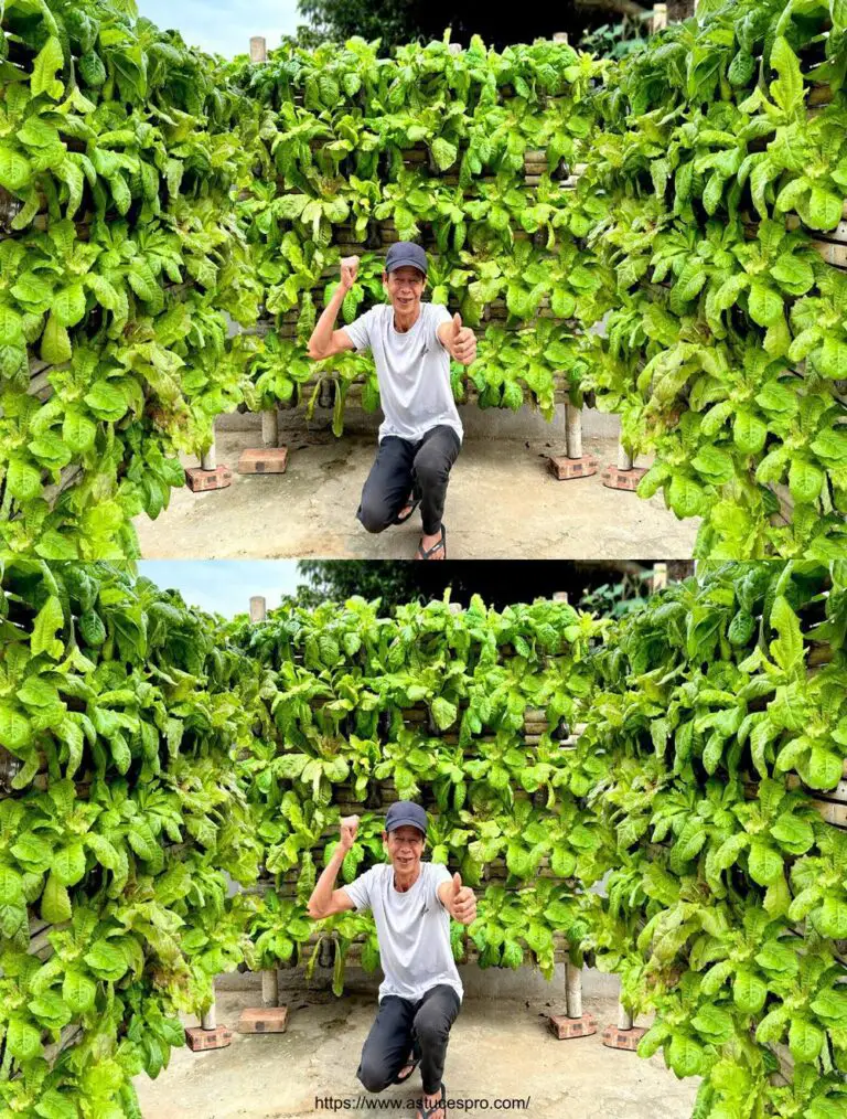 Keine Notwendigkeit für den Garten, drehen Flaschen in Kunststoff in unglaublich schöne Vegetal Wand!