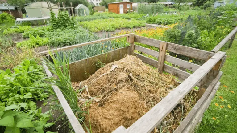 10 Schritte zur Gründung eines Selbstversorgenden Hofes auf einem Acre