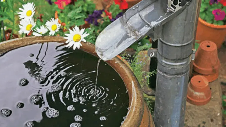 Regenwassernutzung: Ein umfassender Leitfaden