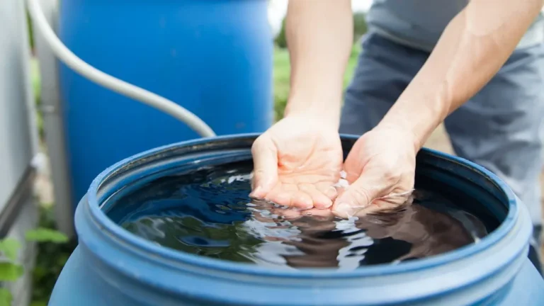 Verstehen Sie die Systeme zur Regenwassersammlung – So sparen Sie Wasser und schonen die Umwelt! 🌧️🌱