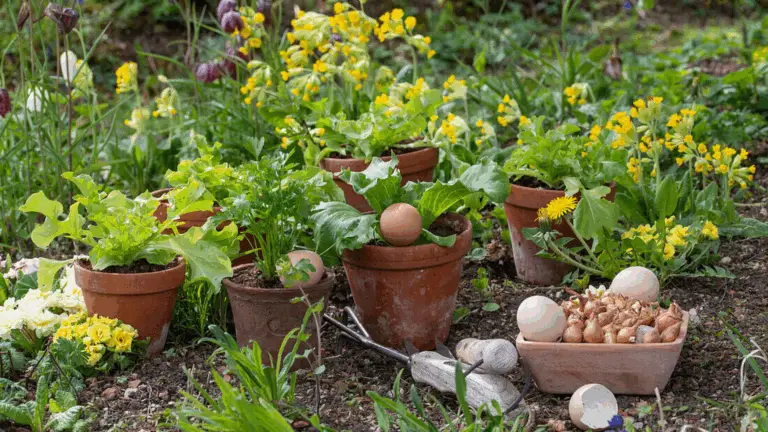 Bunte Kräuter- und Blumen-Arrangements in Töpfen: Das perfekte dekorative und essbare Zuhause-Feature!