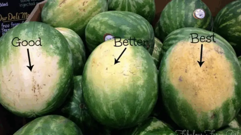 So wählen Sie die perfekt süße Wassermelone – Tipps für den perfekten Geschmack!
