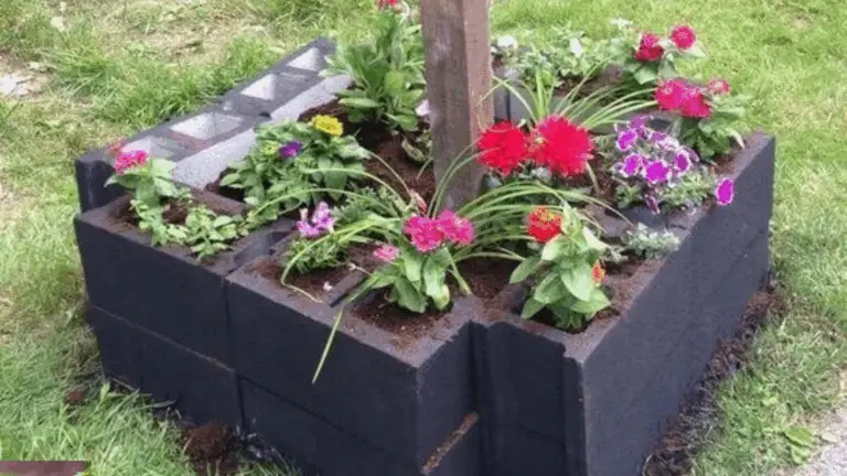 Möchten Sie Ihren Garten mit einfachen, aber wirkungsvollen Lösungen aufwerten? Dann sind selbstgemachte Projekte mit Beton- oder Zementblöcken, auch bekannt als Cinder Blocks, genau das Richtige für Sie.