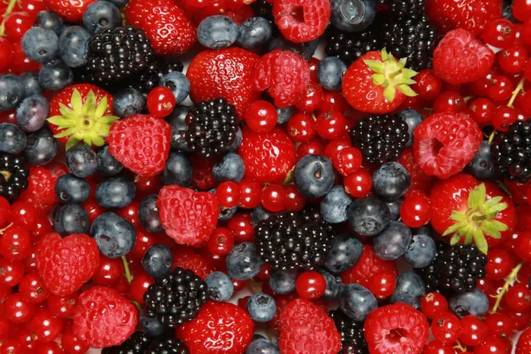 Die Kraft roter Früchte und Gemüses: Warum du sie regelmäßig in deine Ernährung integrieren solltest