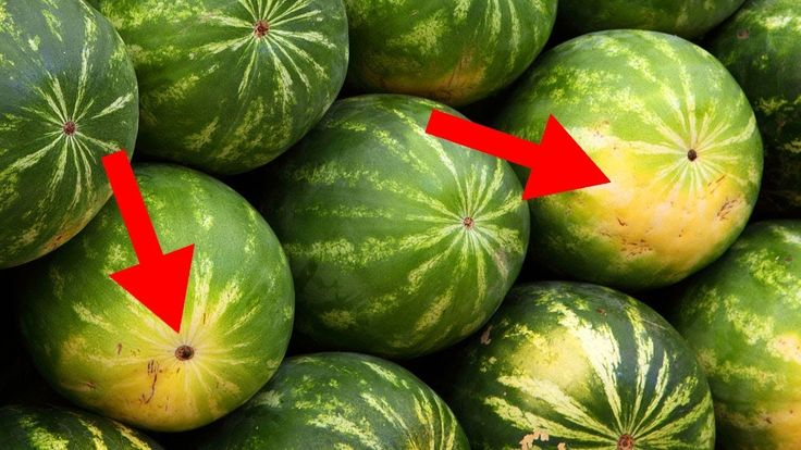 Der ultimative Guide: So findest du die perfekte Wassermelone im Sommer
