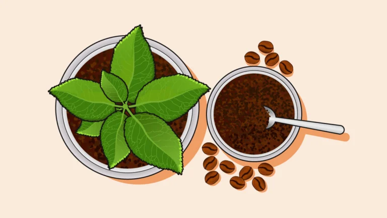Ultimate Guide: 17 Pflanzen, die mit Kaffeesatz gedeihen – Natürliche Wachstumsförderung für Ihren Garten