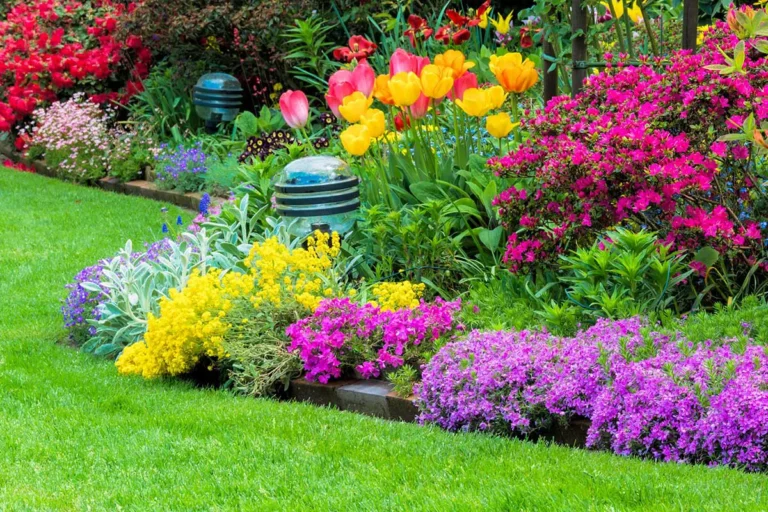 Widerstandsfähige Stauden für Ihren Garten: Die 15 besten langlebigen Pflanzen für alle Jahreszeiten