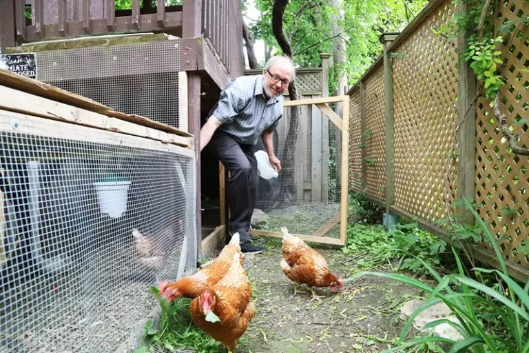 Natürliche Helfer im Garten: So steigern Sie Gesundheit, Ertrag und Umweltfreundlichkeit