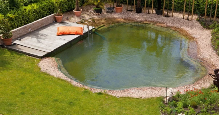 Dein Weg zum eigenen Naturpool oder Schwimmteich
