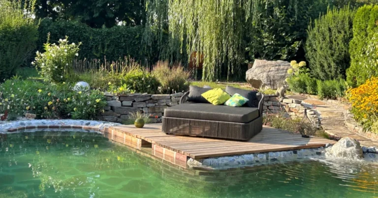Naturpool selber bauen – Natürlich baden im eigenen Garten