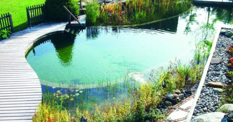 🌿 Naturpool: Ihr Leitfaden für Planung, Bau und Pflege