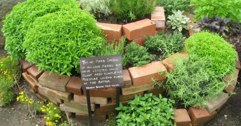 Die Kräuterspirale – Ein Paradies für Vielfalt im Garten