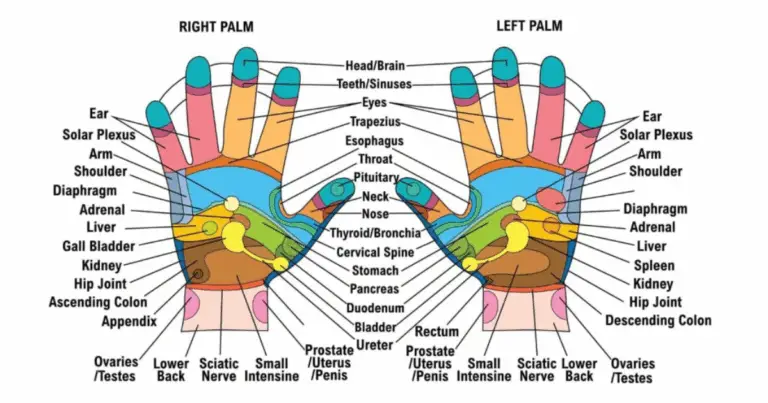Handreflexzonen: Wie gezielte Massage deine Organe positiv beeinflussen kann