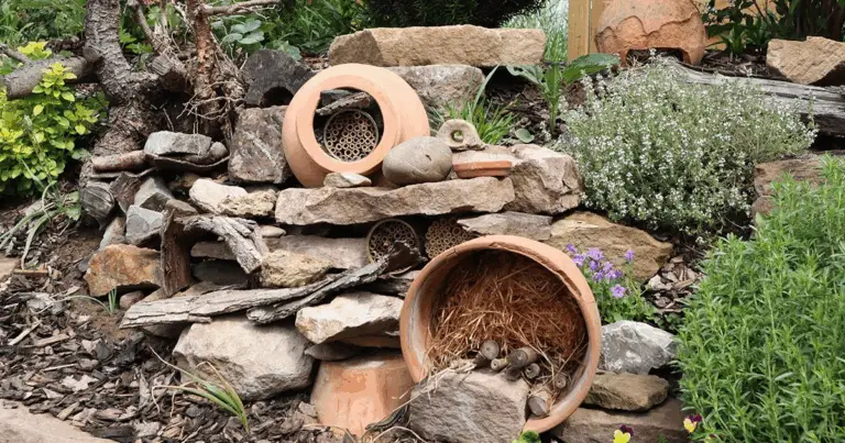 Eidechsenburg im Garten bauen – Anleitung für einen naturnahen Rückzugsort